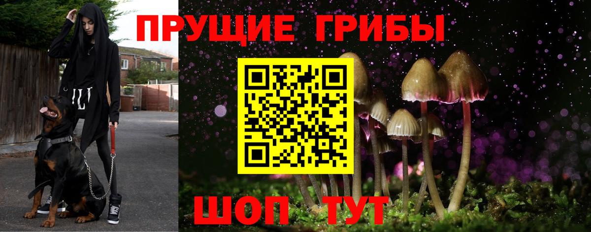 Галлюциногенные грибы MAGIC MUSHROOMS Екатеринбург