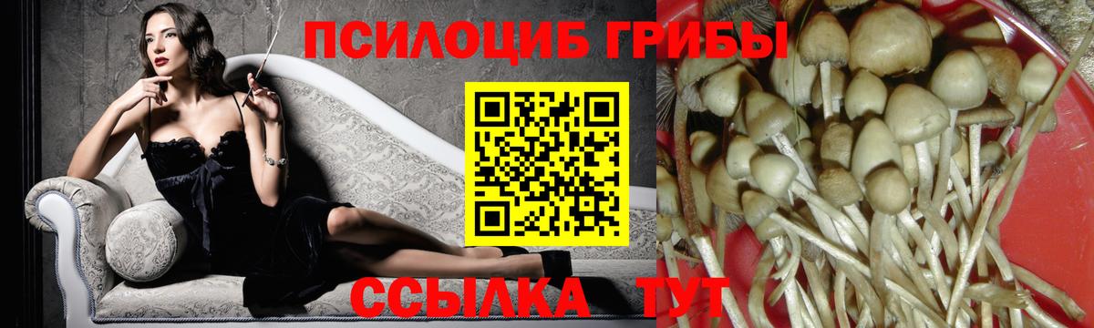 Екатеринбург  Галлюциногенные грибы GOLDEN TEACHER  Вход с VPN 